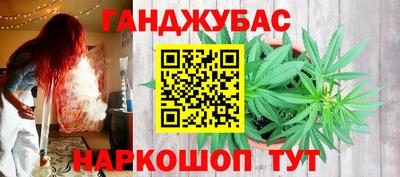гашик Новодвинск