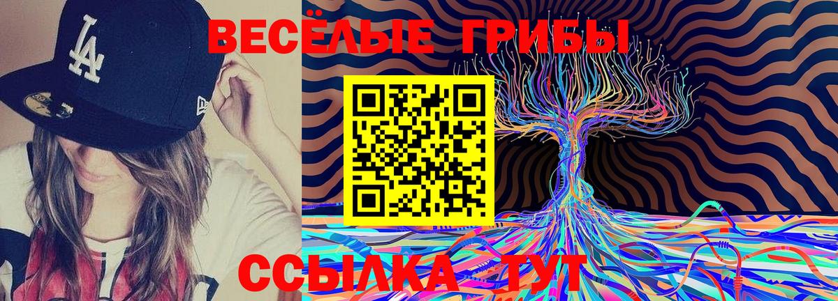 Галлюциногенные грибы Magic Shrooms Соль-Илецк