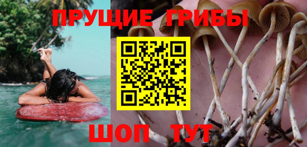 Галлюциногенные грибы Cubensis  Псилоцибиновые грибы Magic Shrooms  Вход с VPN  Соль-Илецк 